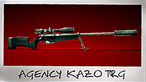 agency-kazo-trg.jpg